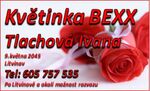Logo Květina BEXX